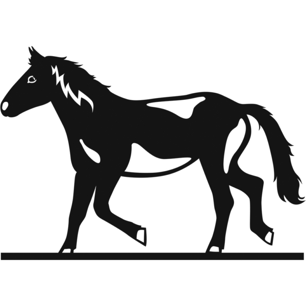 Pferd